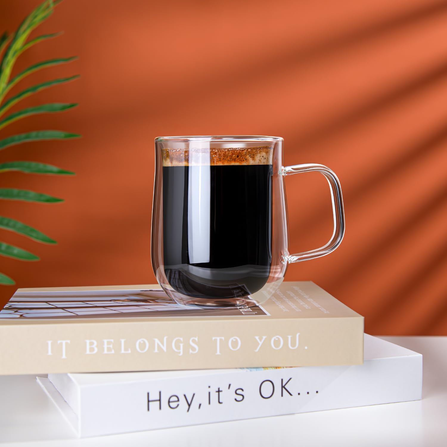 12oz Double Walled Glass Coffe - огляд і ціна Double Wall Mug